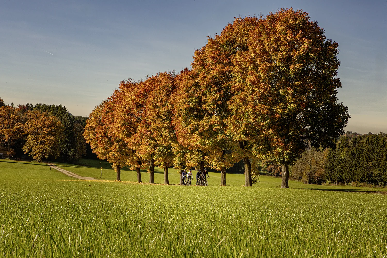 Rennrad-Gruppenausfahrt im Herbst rund um Salzburg